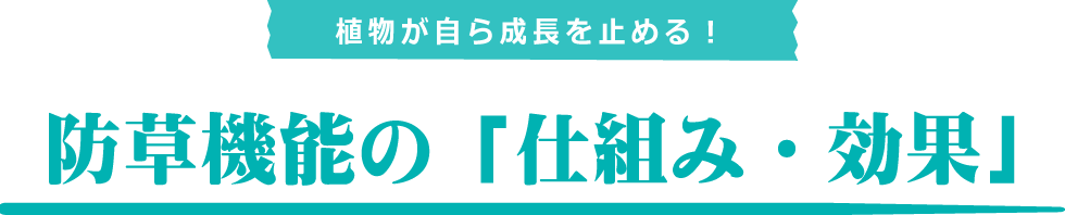 仕組み・効果