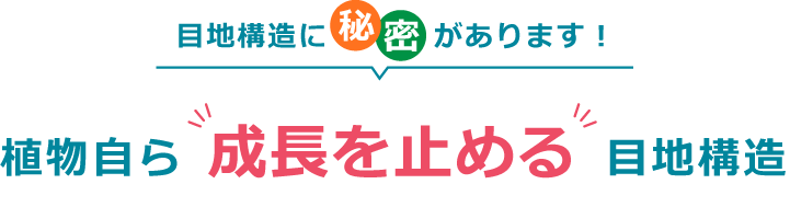 目地構造に秘密あり