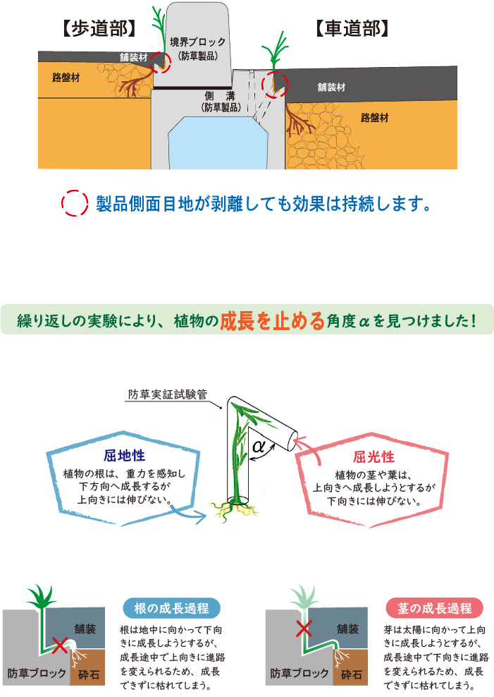 防草断面図