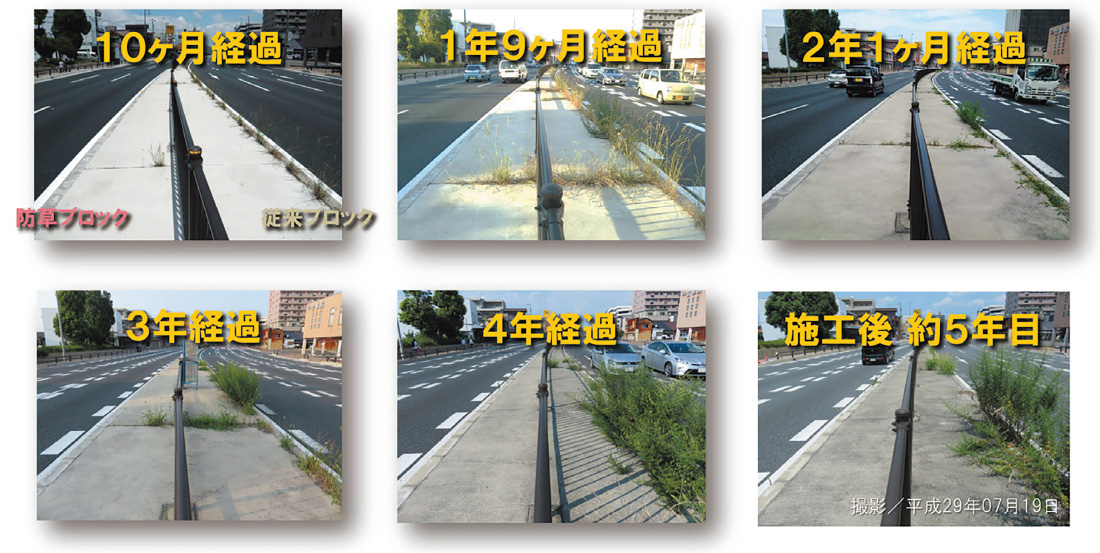 経過観察